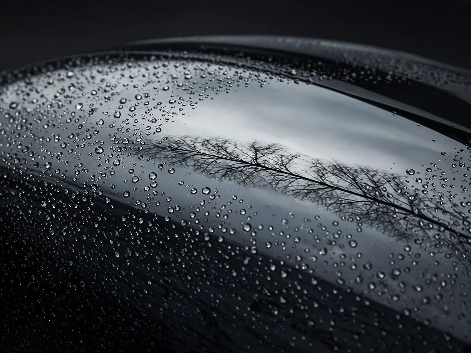 Close-up of glossy black car paint beaded with water, reflecting a pale sky and bare tree branches.